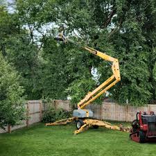 Best Hedge Trimming  in Estell Manor, NJ