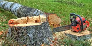 Best Emergency Tree Removal  in Estell Manor, NJ
