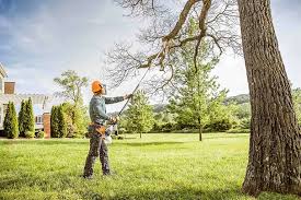 Best Lawn Grading and Leveling  in Estell Manor, NJ