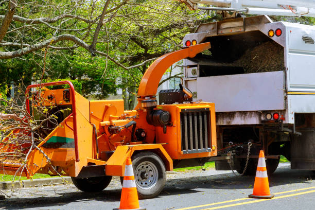 Best Tree Preservation Services  in Estell Manor, NJ